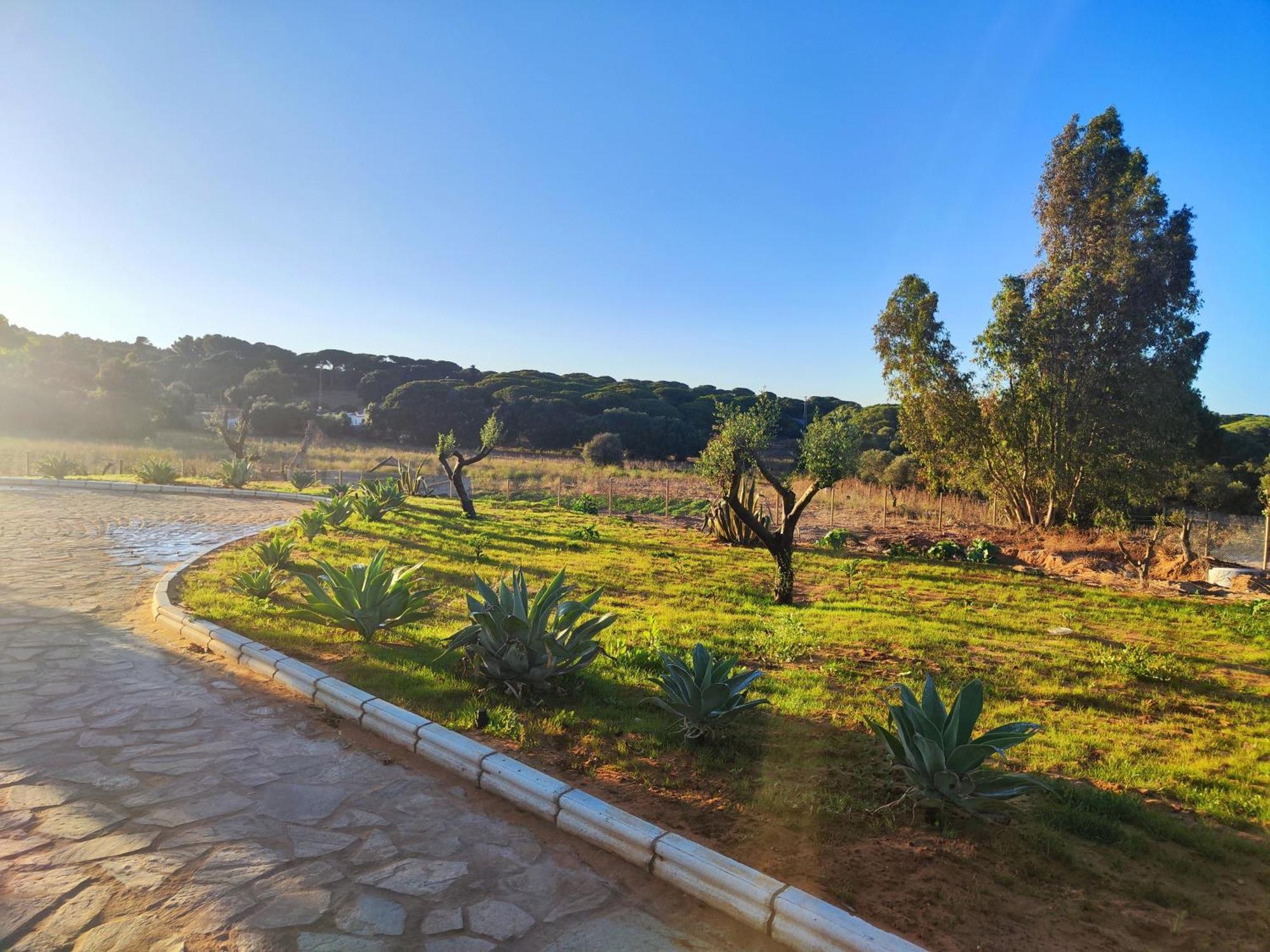 הוילה קדיז Hacienda La Yerbabuena מראה חיצוני תמונה