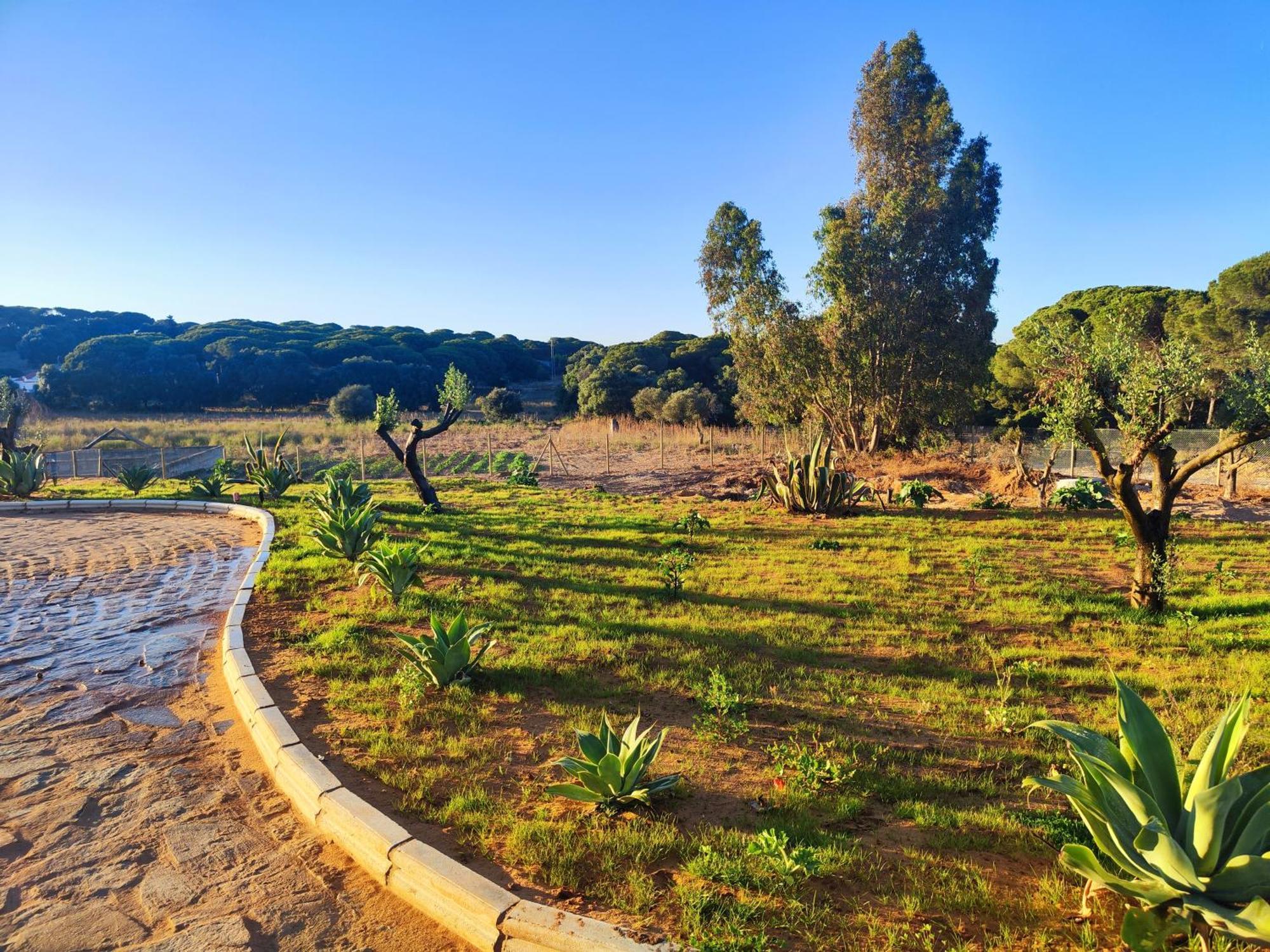 הוילה קדיז Hacienda La Yerbabuena מראה חיצוני תמונה